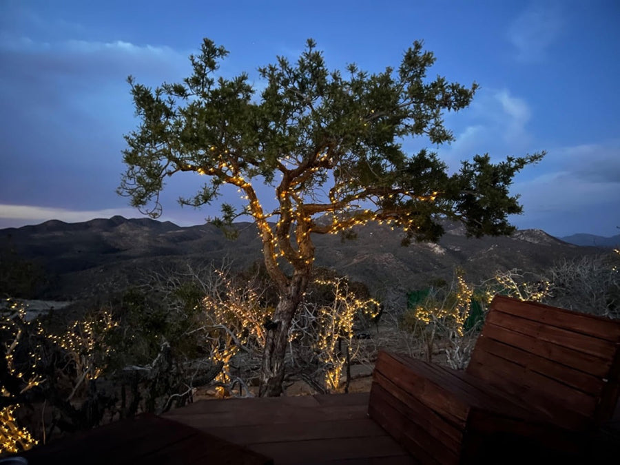En el árbol