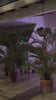 El balcon de noche